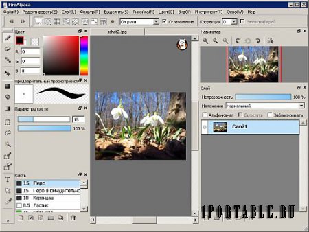 FireAlpaca 1.7.4 Portable - растровый графический редактор