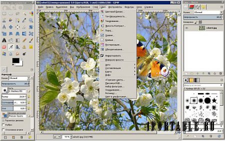 GIMP 2.8.22.0 Portable by PortableAppZ - графический редактор для цифровых художников