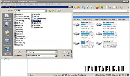XYplorer 18.00.0000 (Academic) Portable by PortableAppZ - настраиваемый файловый менеджер