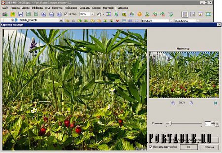 FastStone Image Viewer 6.3 Corporate Portable (PortableAppZ) - Многофункциональный браузер изображений, конвертер и редактор