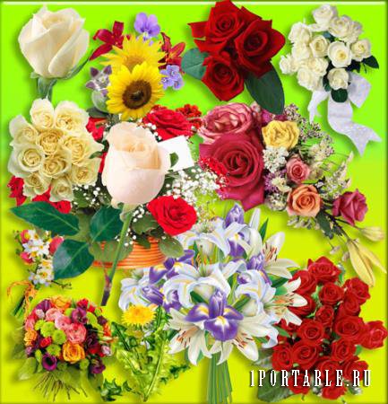 Картинки в формате png - Море цветов и растений