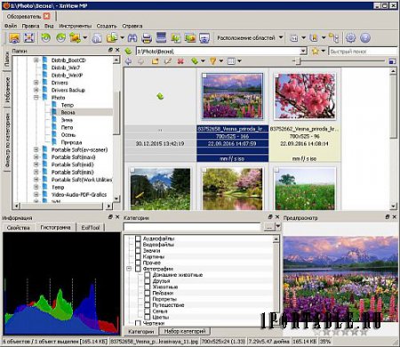 XnViewMP 0.87 Portable - продвинутый медиа-браузер, просмотрщик изображений, конвертор и каталогизатор