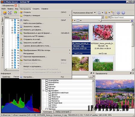 XnViewMP 0.87 Portable - продвинутый медиа-браузер, просмотрщик изображений, конвертор и каталогизатор