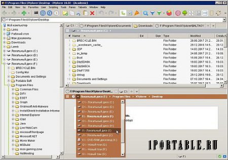 XYplorer 18.50.0000 (Academic) En Portable by Baltagy - настраиваемый файловый менеджер