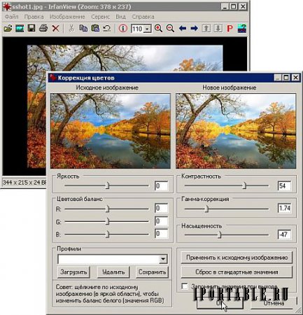 IrfanView 4.50 Rus Portable - графический редактор для обработки изображений