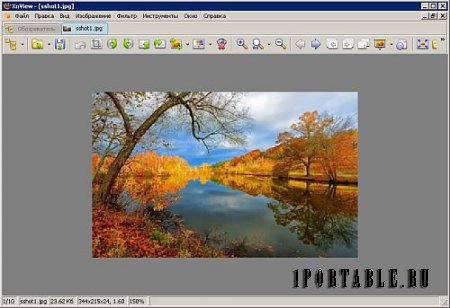 XnView 2.43 Extended Portable - продвинутый графический редактор, медиа-браузер и конвертер