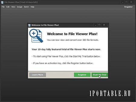 File Viewer Plus 2.2.0.41 En Portable - Универсальная программа для работы с файлами