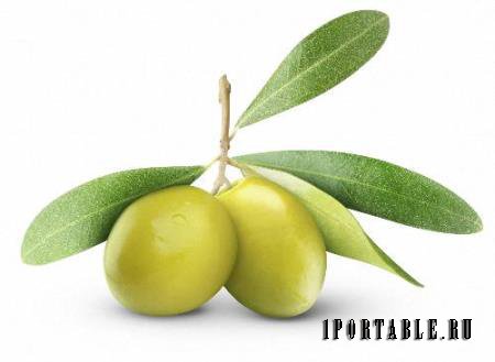 Красивые Png - Черные и зеленые оливки и маслины