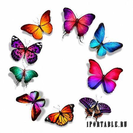 Картинки в формате png - Цветные бабочки