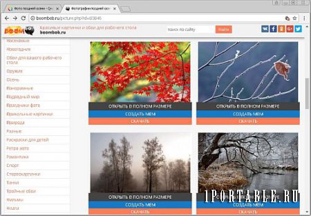 Iridium Browser 2017.10 Portable - стабильный браузер с улучшенной приватностью пользователя