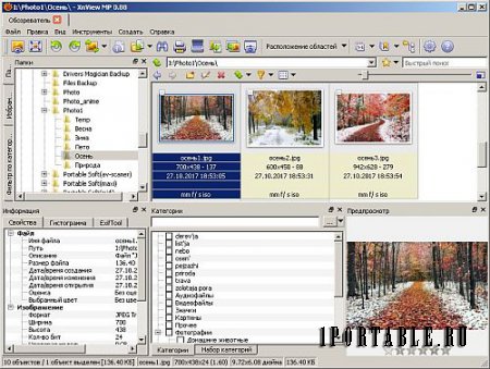 XnViewMP 0.88 Portable - продвинутый медиа-браузер, просмотрщик изображений, конвертор и каталогизатор, проигрыватель медиа