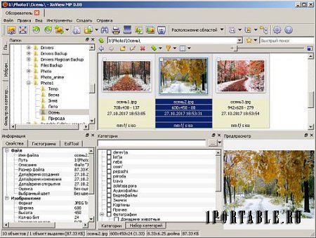 XnViewMP 0.88 Portable by PortableAppZ - продвинутый медиа-браузер, просмотрщик изображений, конвертор и каталогизатор, проигрыватель медиа