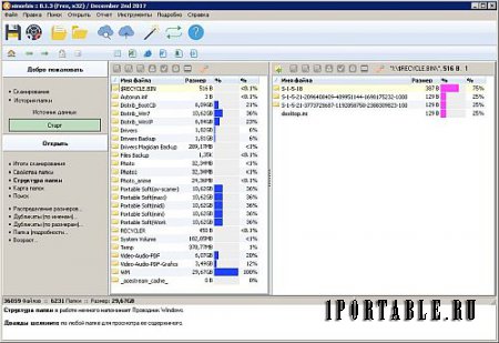 Xinorbis  8.1.3 Portable - анализатор файлового пространства устройства хранения, подключенного к вашему ПК или к сети