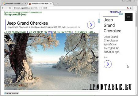 Iridium Browser 2017.11 Portable - стабильный браузер с улучшенной приватностью пользователя