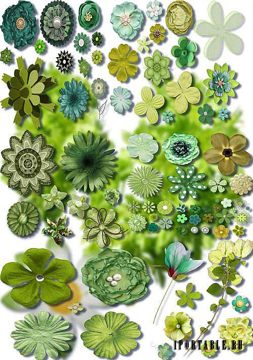 Растровые клипарты - Зеленые цветы