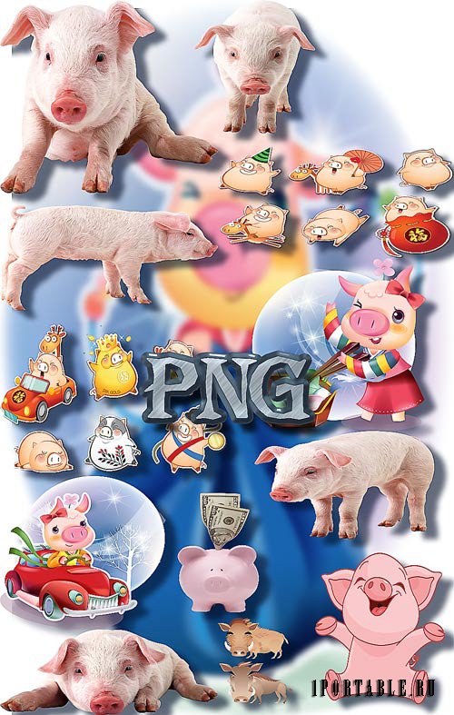 Новые клипарты Png - Свиньи