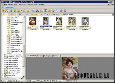 XnView 2.44 Classic Portable - продвинутый графический редактор, медиа-браузер и конвертер