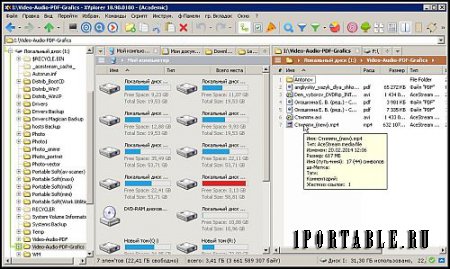 XYplorer Pro (Academic) 18.90.0100 Portable (PortableAppZ) - настраиваемый файловый менеджер