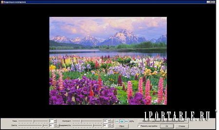FastStone Image Viewer 6.5 Corporate Portable (PortableApps) - Многофункциональный браузер изображений, конвертер и редактор