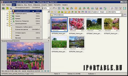 FastStone Image Viewer 6.5 Corporate Portable (PortableApps) - Многофункциональный браузер изображений, конвертер и редактор
