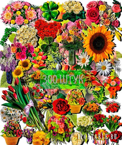 Коллекция Png клип-артов - Разнообразные цветы
