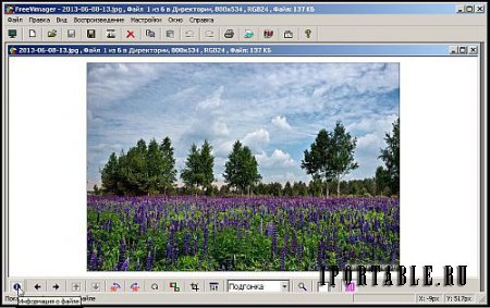 FreeVimager 7.7.0 Portable – просмотрщик графических файлов с функцией улучшения изображений