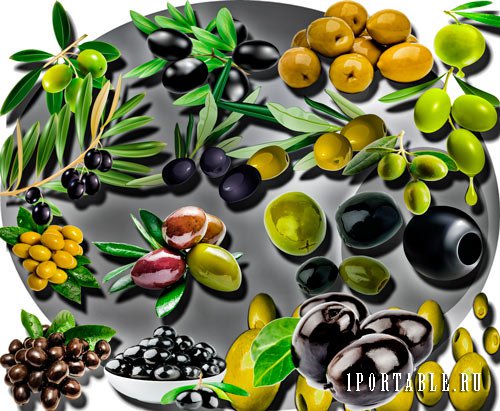 Клипарты для рамок - Черные и зеленые оливки