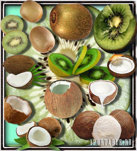 Png клипарты - Киви и кокосы