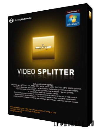 SolveigMM Video Splitter 5.0.1503.17 Business Edition Portable