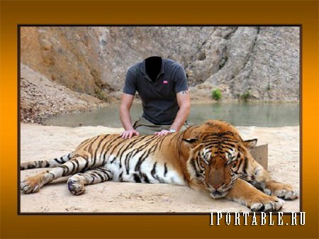  Шаблон psd мужской - Парень с большим тигром 