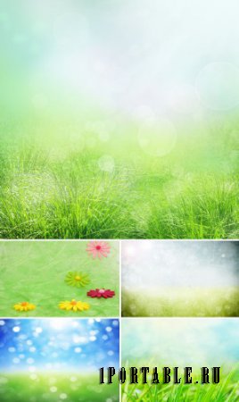Блики на зеленой траве