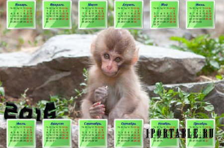  Маленькая обезьянка на камне - Настенный календарь 
