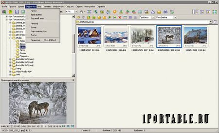 FastStone Image Viewer 6.2 Corporate Portable (PortableAppZ) - Многофункциональный браузер изображений, конвертер и редактор