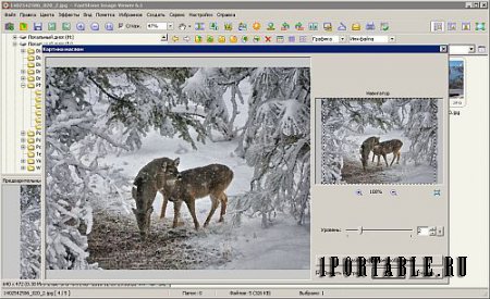 FastStone Image Viewer 6.2 Corporate Portable (PortableAppZ) - Многофункциональный браузер изображений, конвертер и редактор