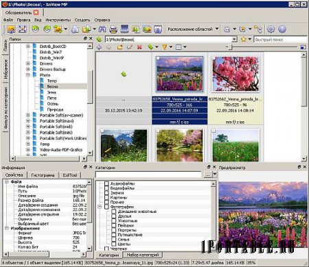 XnViewMP 0.85 Portable - продвинутый медиа-браузер, просмотрщик изображений, конвертор и каталогизатор