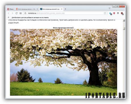 Coc Coc Browser 63.4.154 Portable + Расширения (PortableAppZ) - Простой, быстрый и безопасный браузер