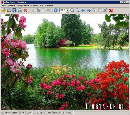 IrfanView 4.44 dc3.06.2017 Portable + Plugins - графический редактор для обработки изображений