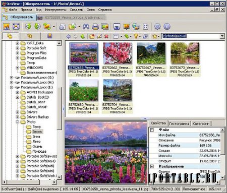 XnView 2.41 Extended Portable by PortableAppZ - продвинутый графический редактор, медиа-браузер и конвертер