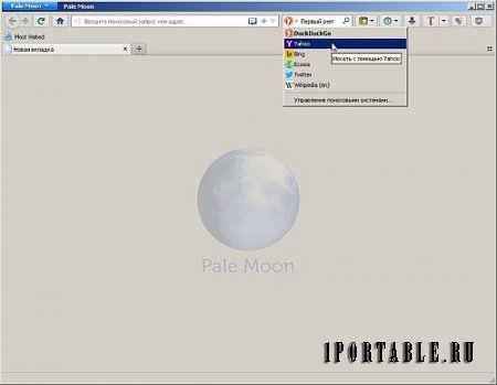 Pale Moon 27.6.1 Portable + Расширения by PortableAppZ - оптимизированный и расширяемый браузер