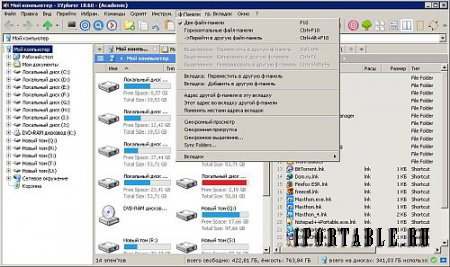 XYplorer 18.60.0000 (Academic) Portable (PortableAppZ) - настраиваемый файловый менеджер
