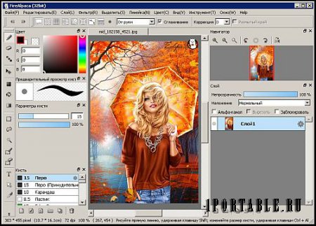 FireAlpaca 2.1.0 Portable by CheshireCat - растровый графический редактор