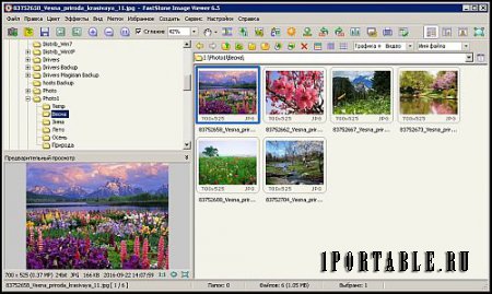 FastStone Image Viewer 6.5 Corporate Portable by PortableAppZ - Многофункциональный браузер изображений, конвертер и редактор