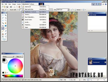 Paint.Net 4.0.21 En Portable by Baltagy - Графмческий редактор для создания/редактирования изображений